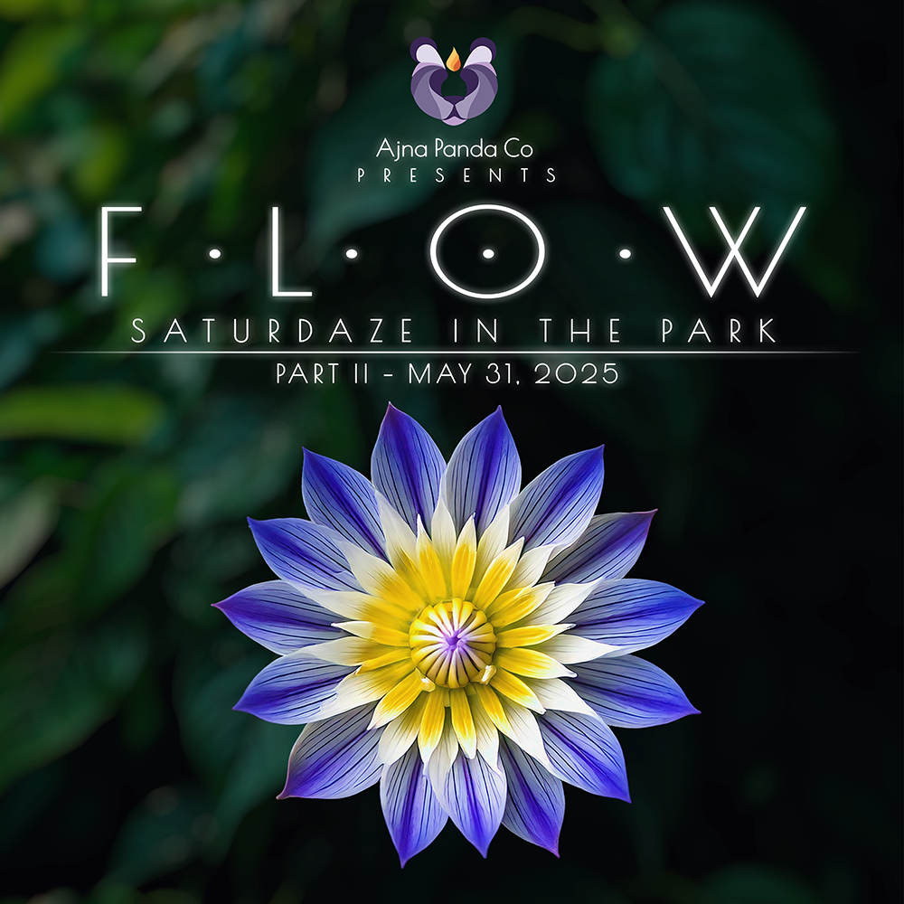 FLOW 2025 - Part II
