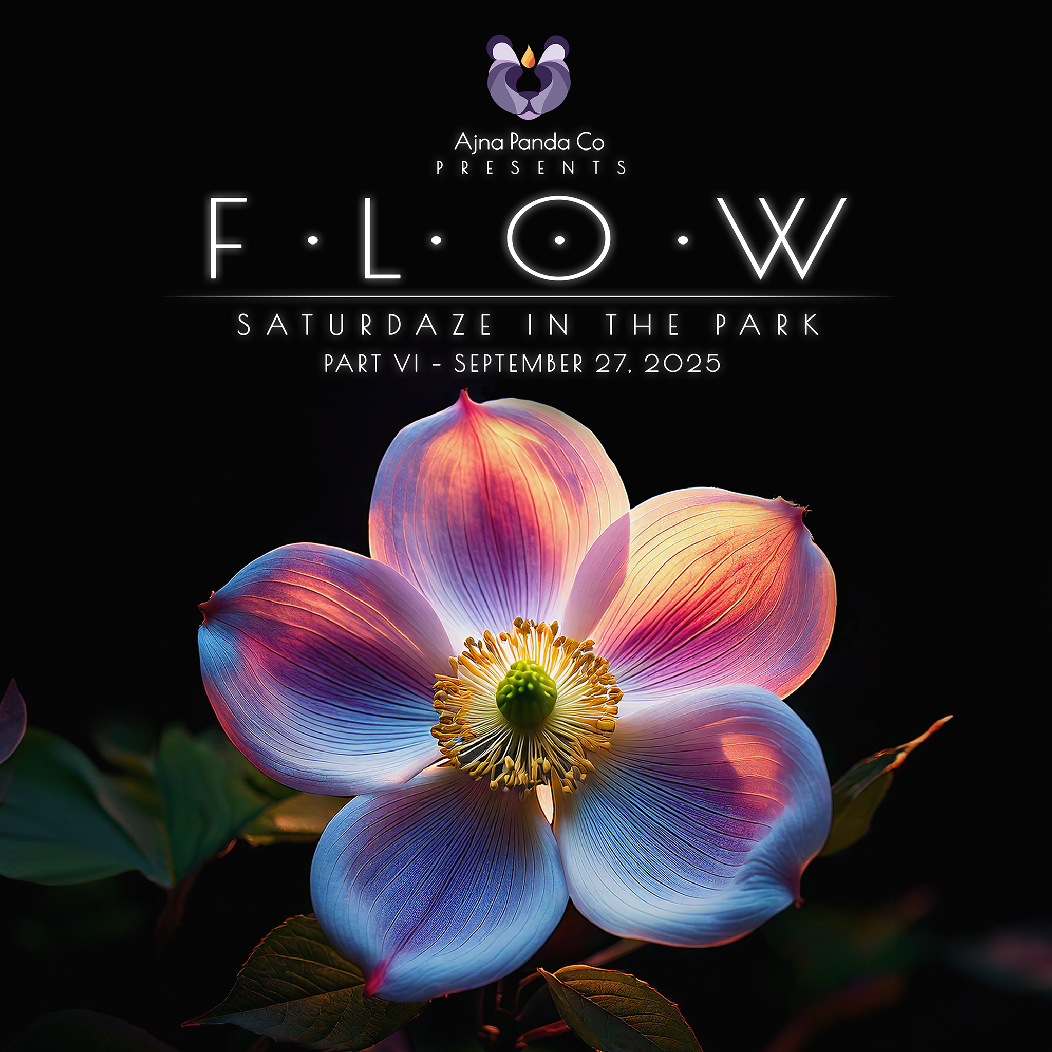 FLOW 2025 - Part VI